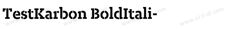 TestKarbon BoldItali字体转换 TestKarbon BoldItali字体转换